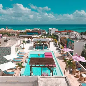 https://the-palm-at-playa.allrivieramayahotels.com