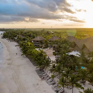 https://cabana-los-lirios-tulum.quintano-roohotels.com